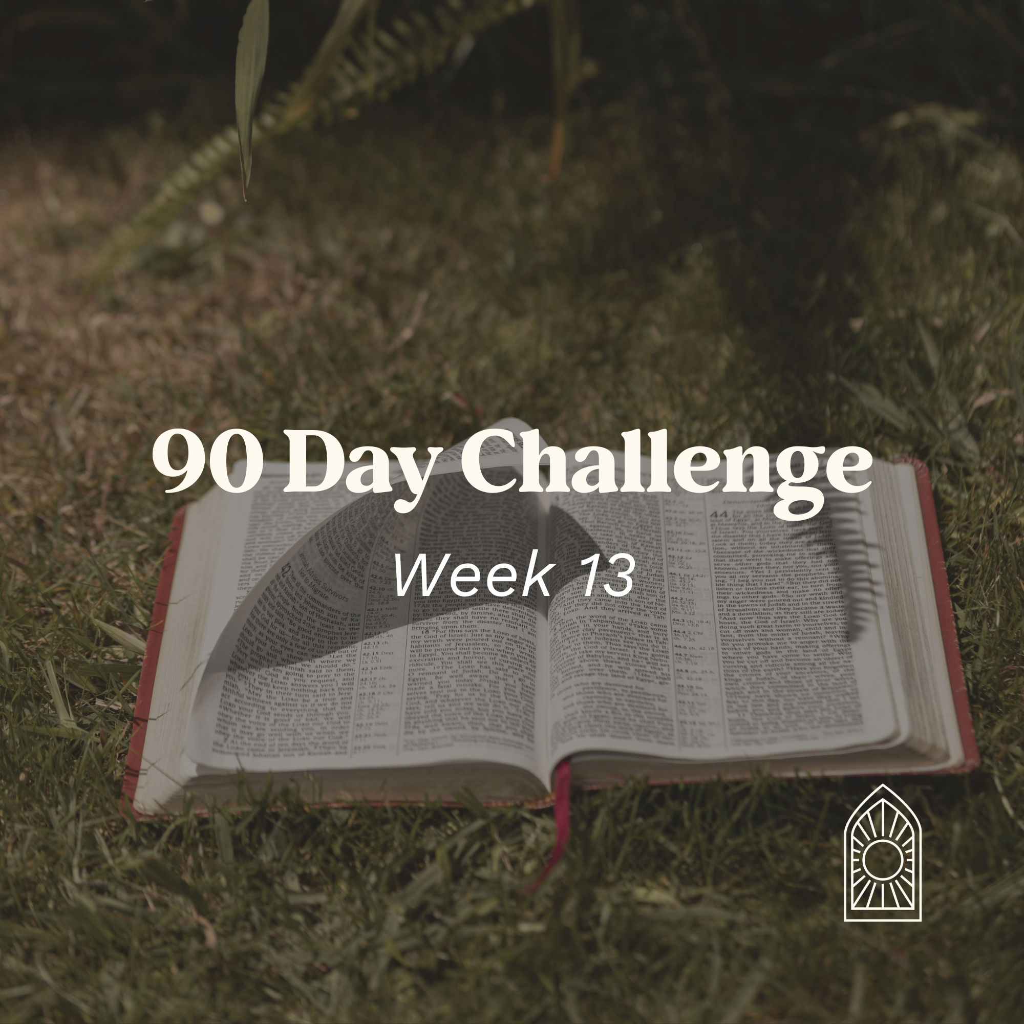 90 Day Challenge – Week 13: The Church and New Creation