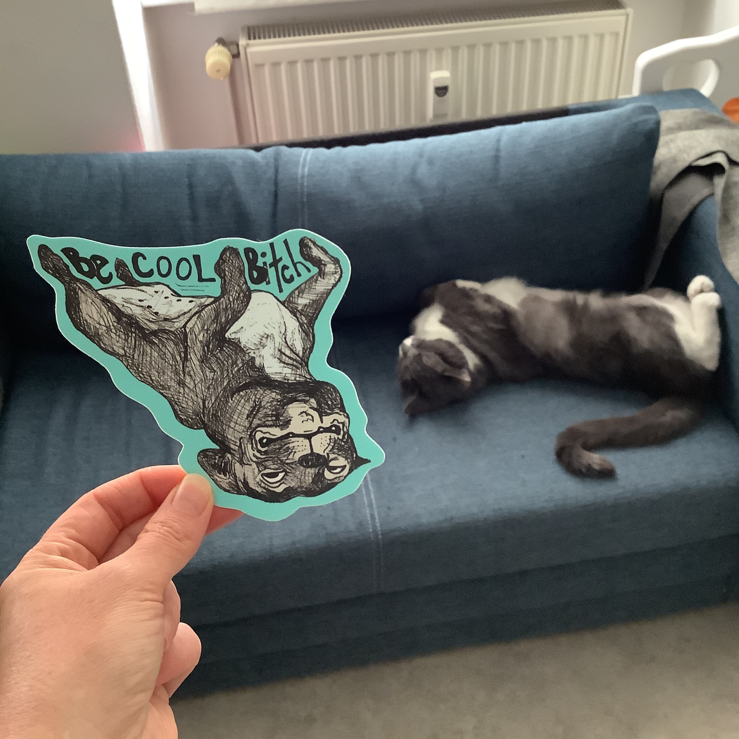 be cool bitch with cat.png