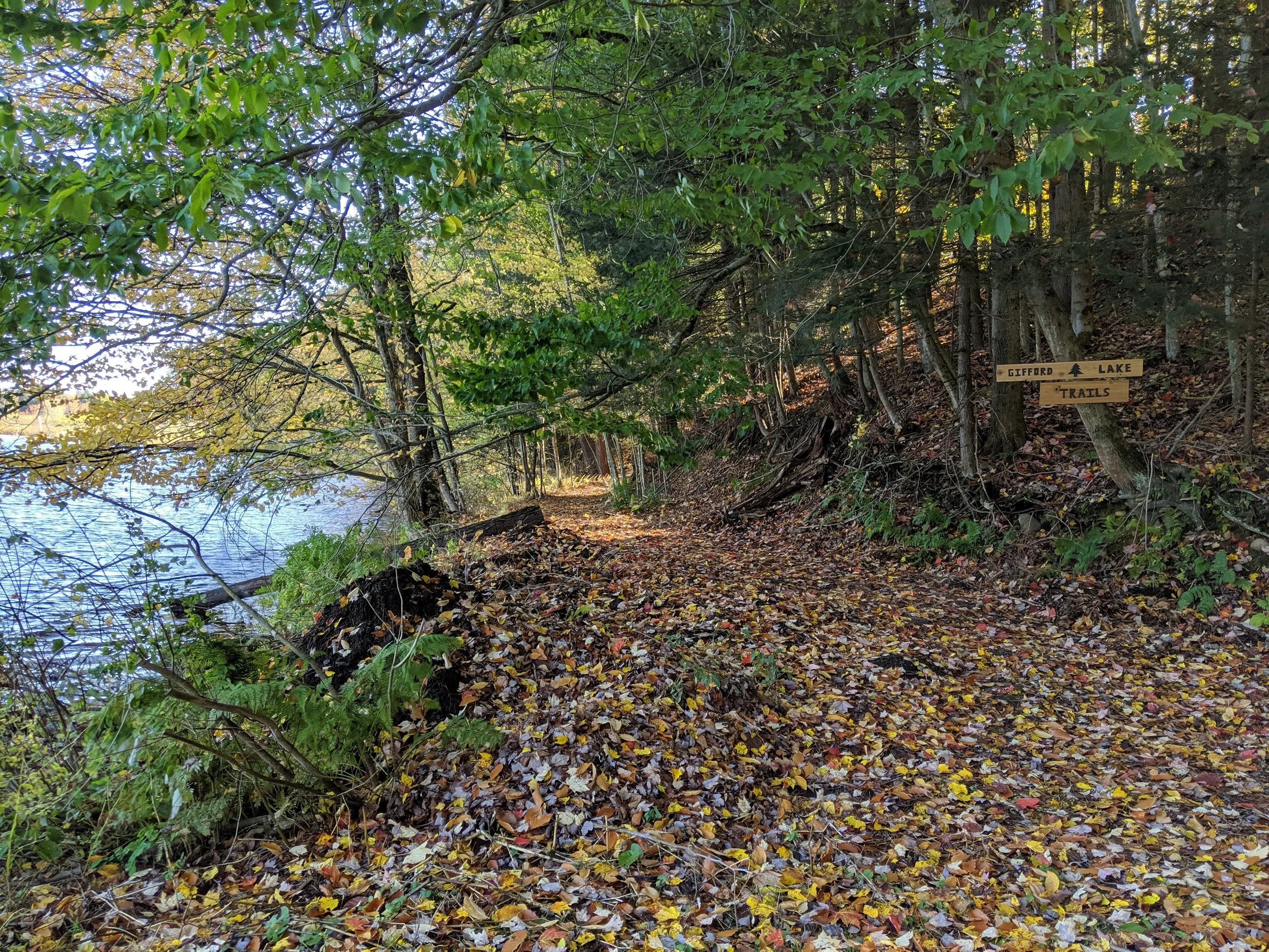 Gifford lake Trails.jpg