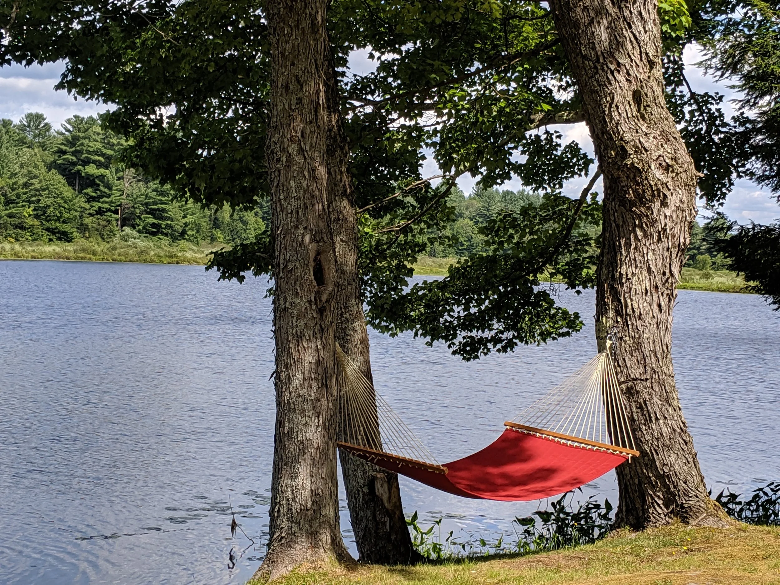 hammock.jpg