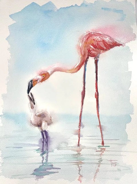 Watercolour of a Flamingo feeding her baby in the waters reflection.