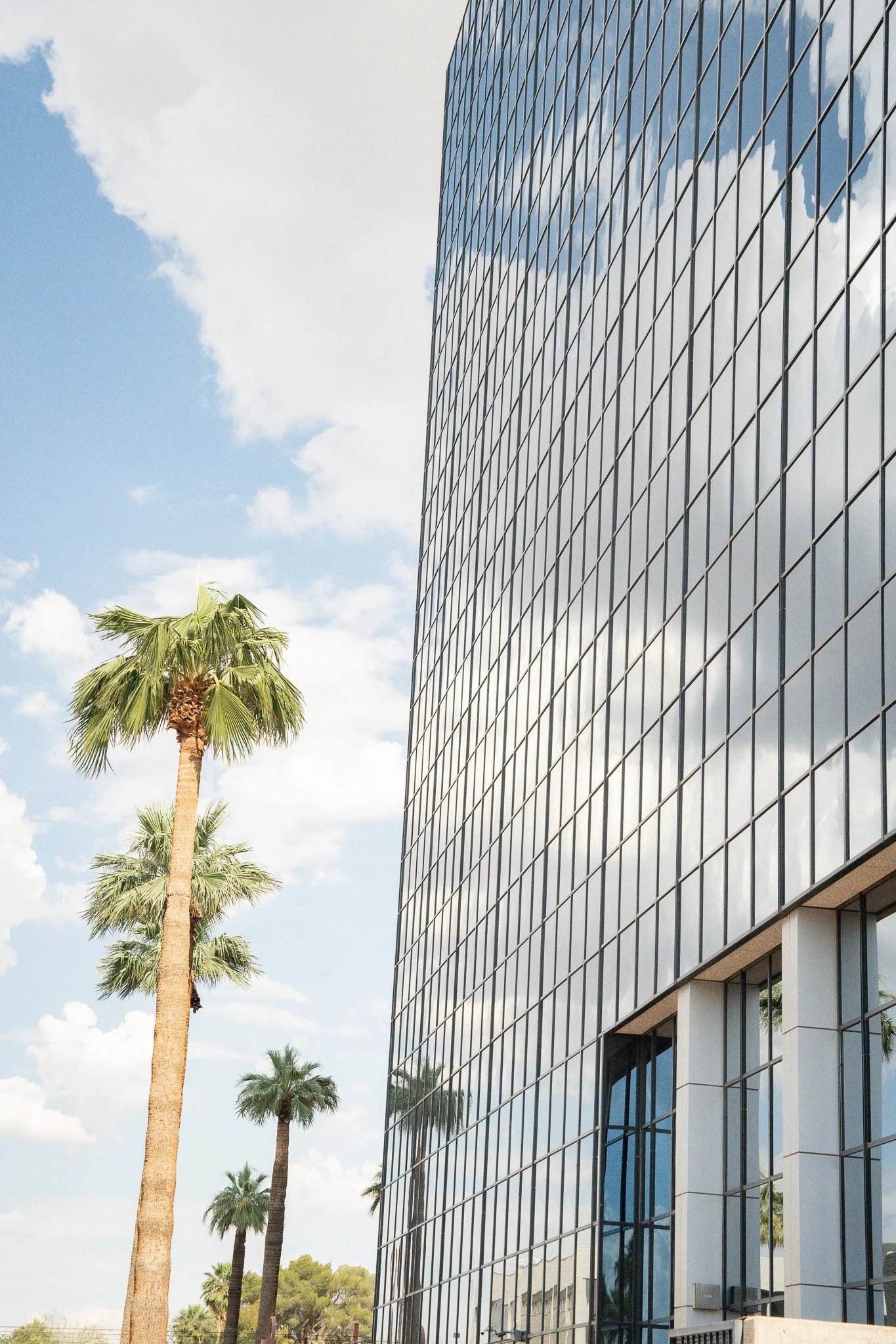 Reflective glass building with clouds mirrored on its surface, with tall palm trees in the foreground against a partly cloudy sky.