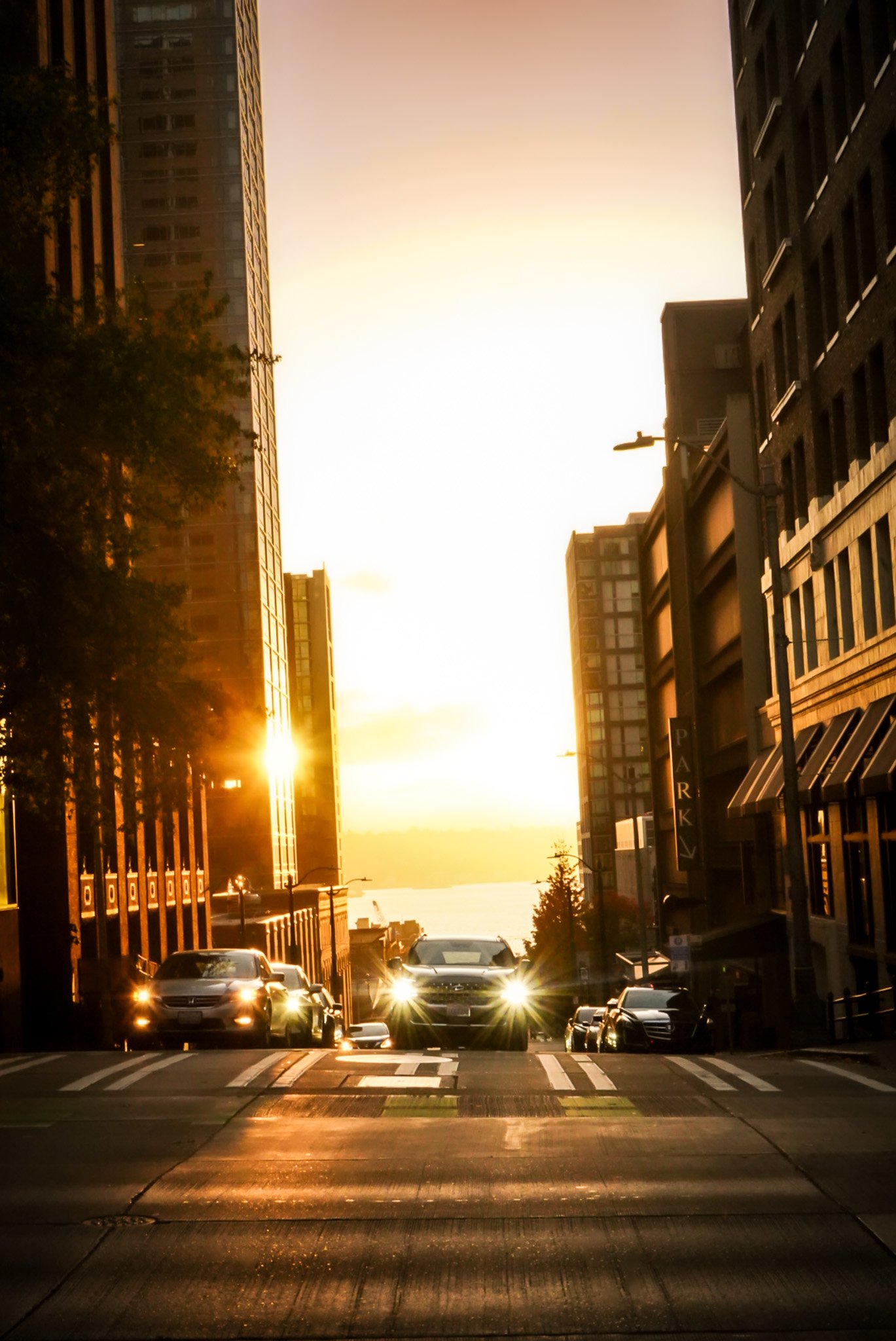 Street scene at sunset with tall buildings on both sides, cars parked along the street, and sunlight reflecting off the road and cars.