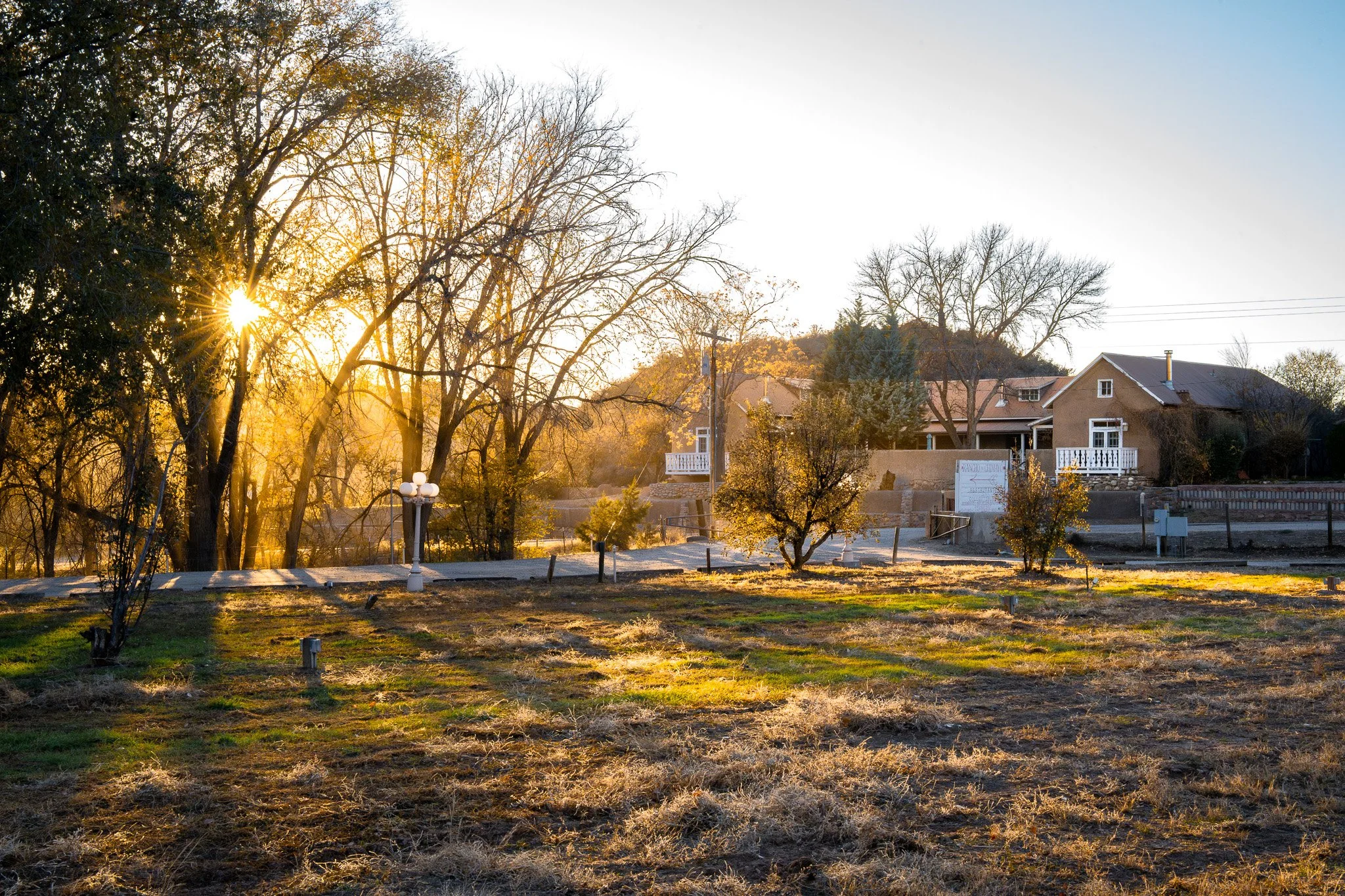 Sunset over a grassy field with trees, houses, and a lamppost.