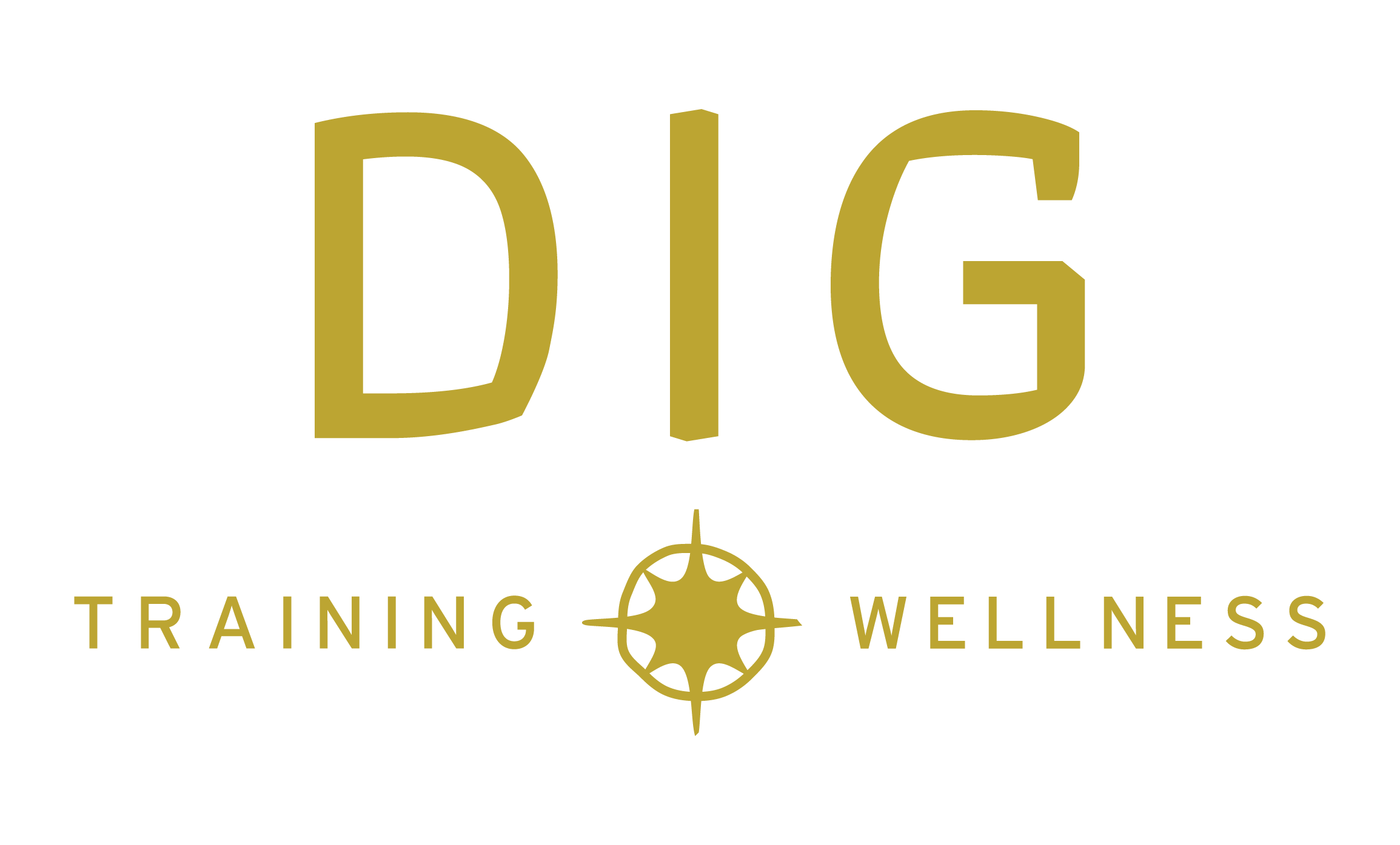 DIG - PRIMARY LOGO - HORIZONTAL.png