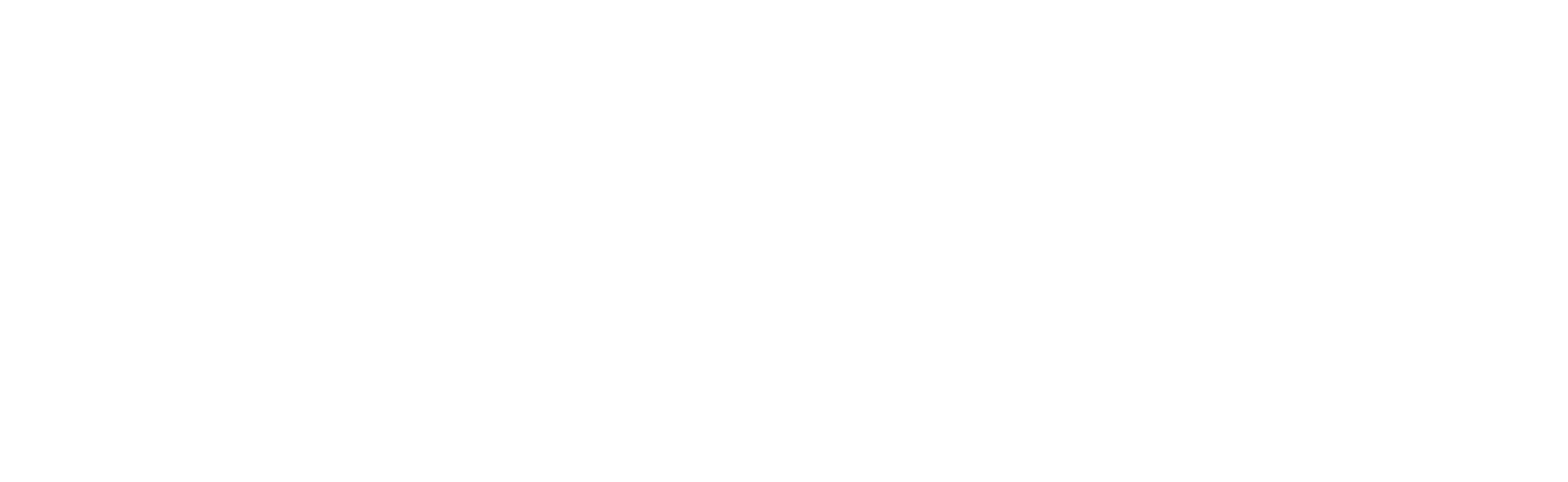 Wellspring Pulmbing Logo