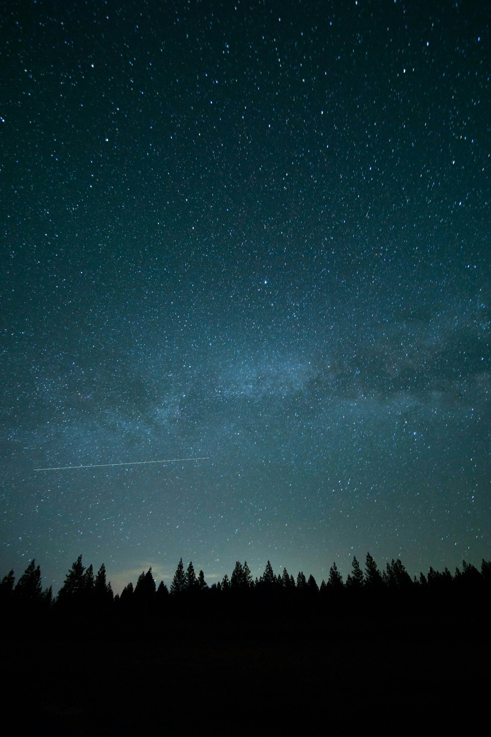 Night sky filled with numerous stars and a faint Milky Way, with silhouetted trees at the horizon.