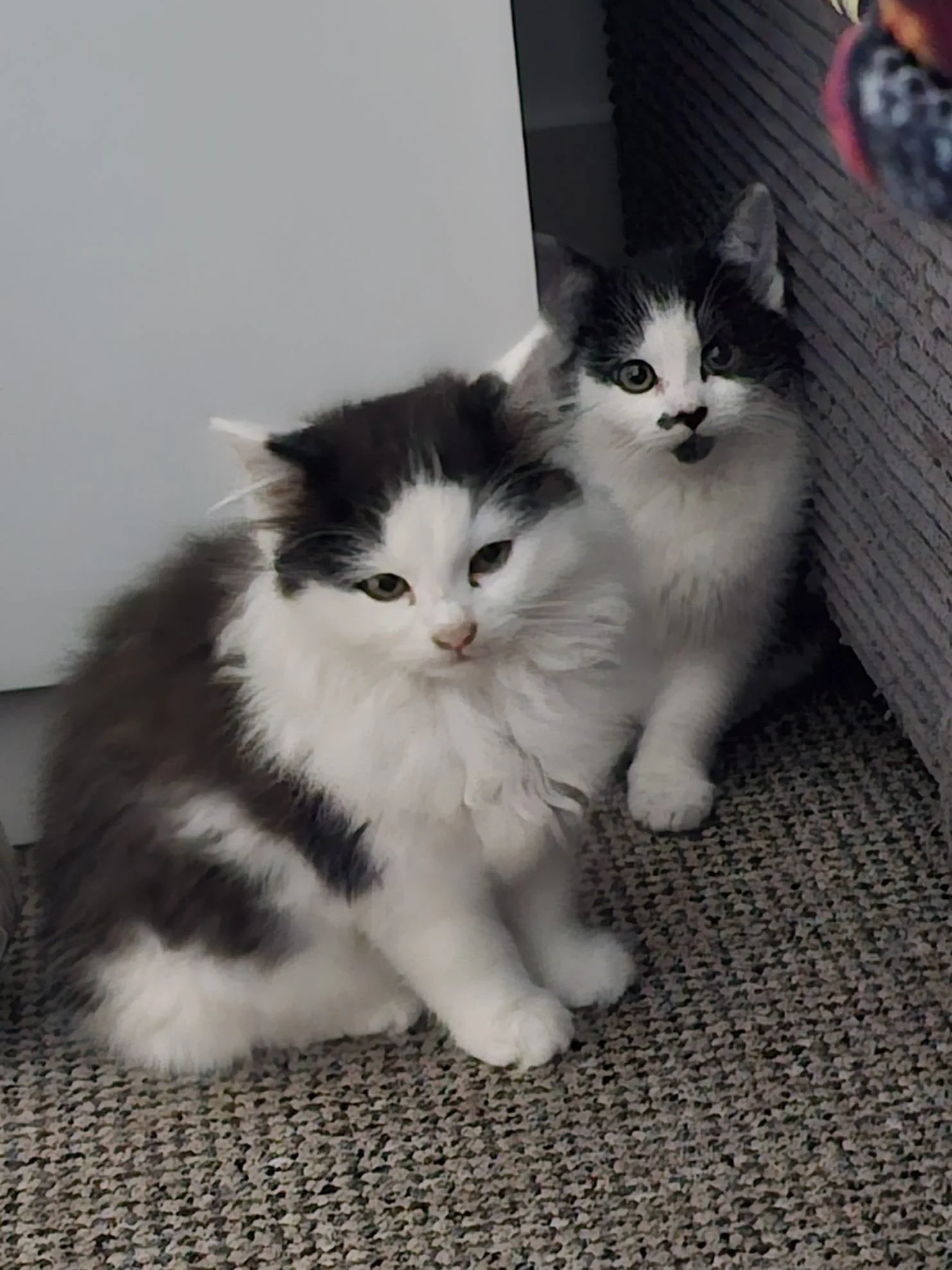 confetti and chapel.jpeg