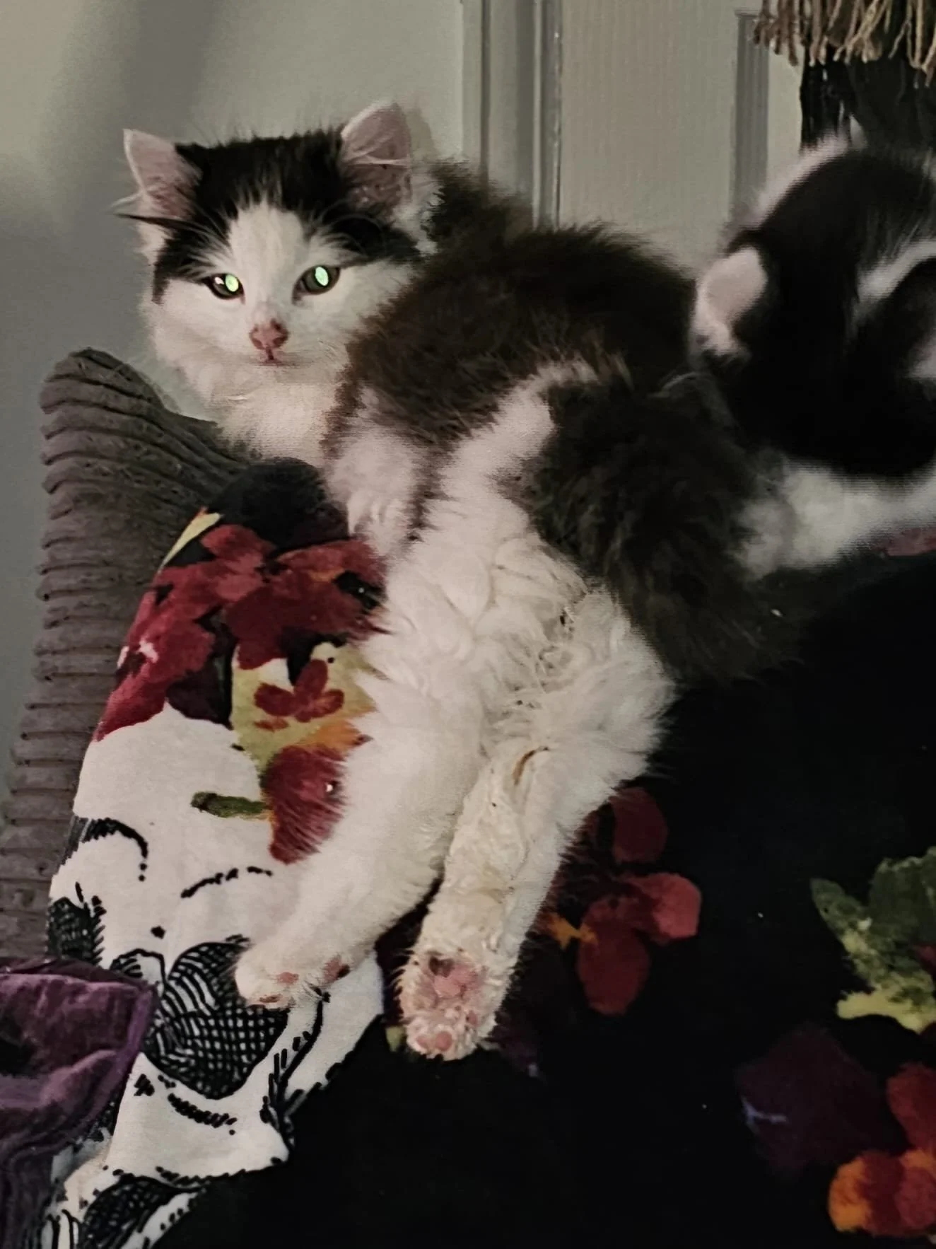 confetti and chapel 2.jpeg