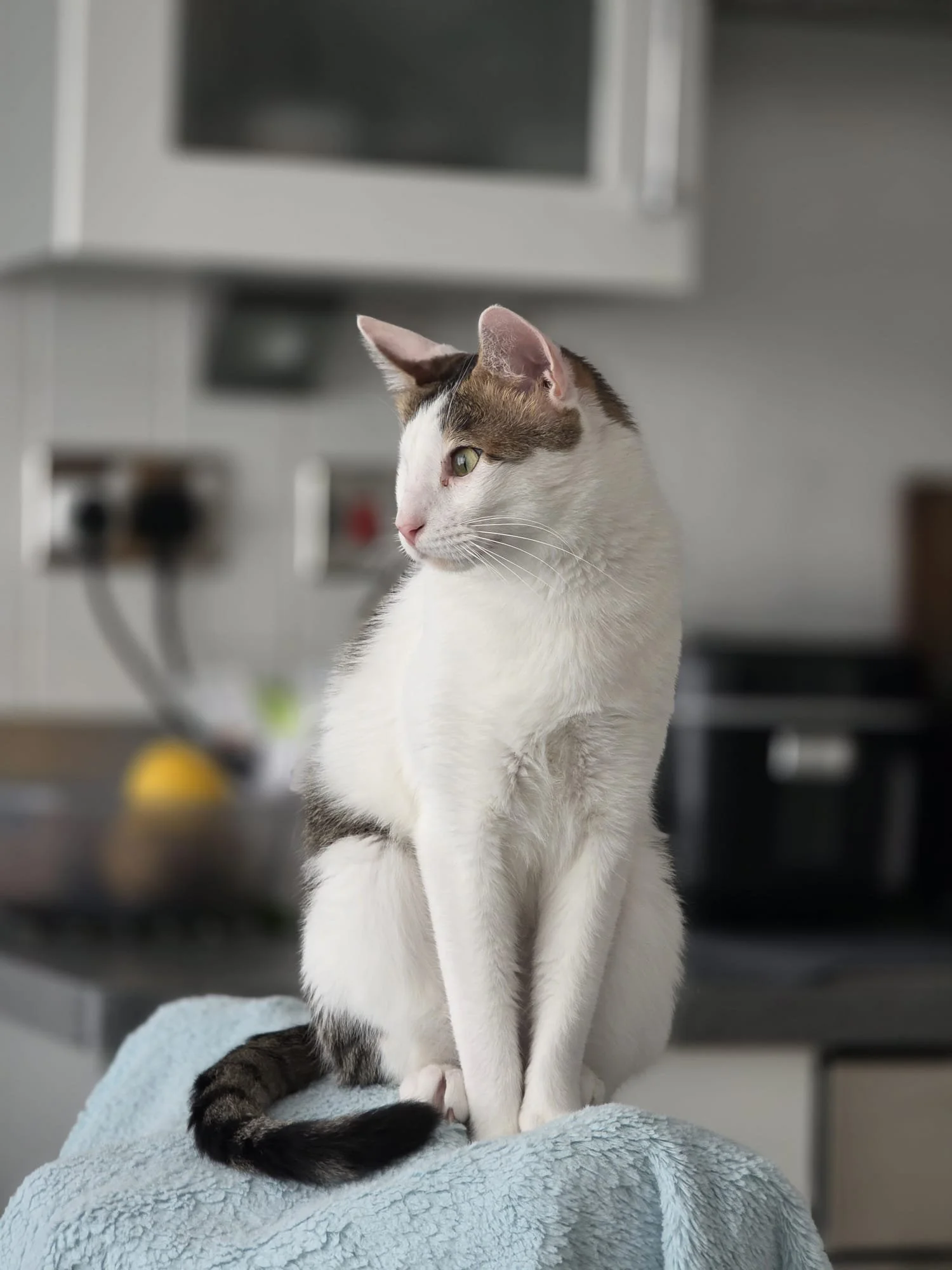 WhatsApp Image 2026-02-26 at 10.04.40 AM.jpeg