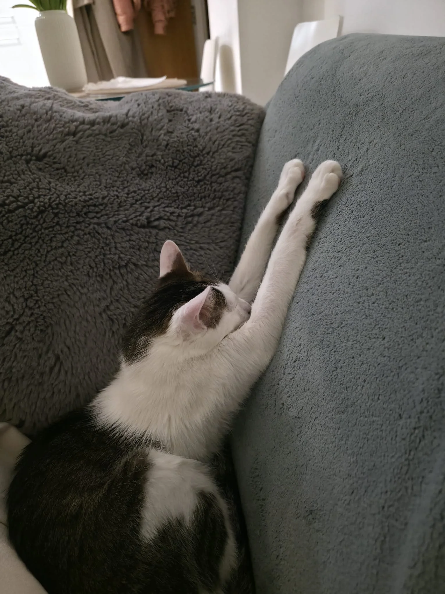 WhatsApp Image 2026-02-26 at 10.04.41 AM.jpeg