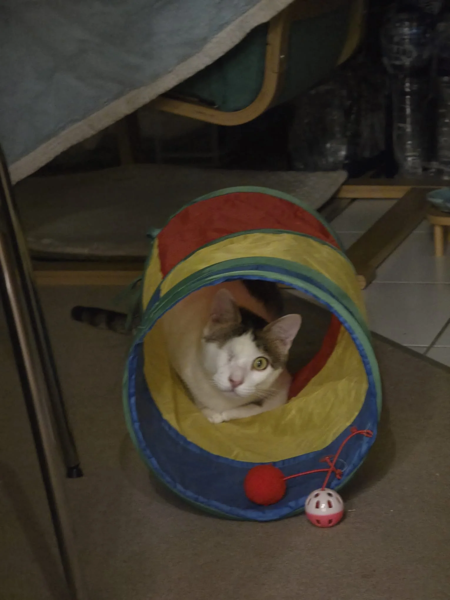 WhatsApp Image 2026-02-26 at 10.06.09 AM.jpeg