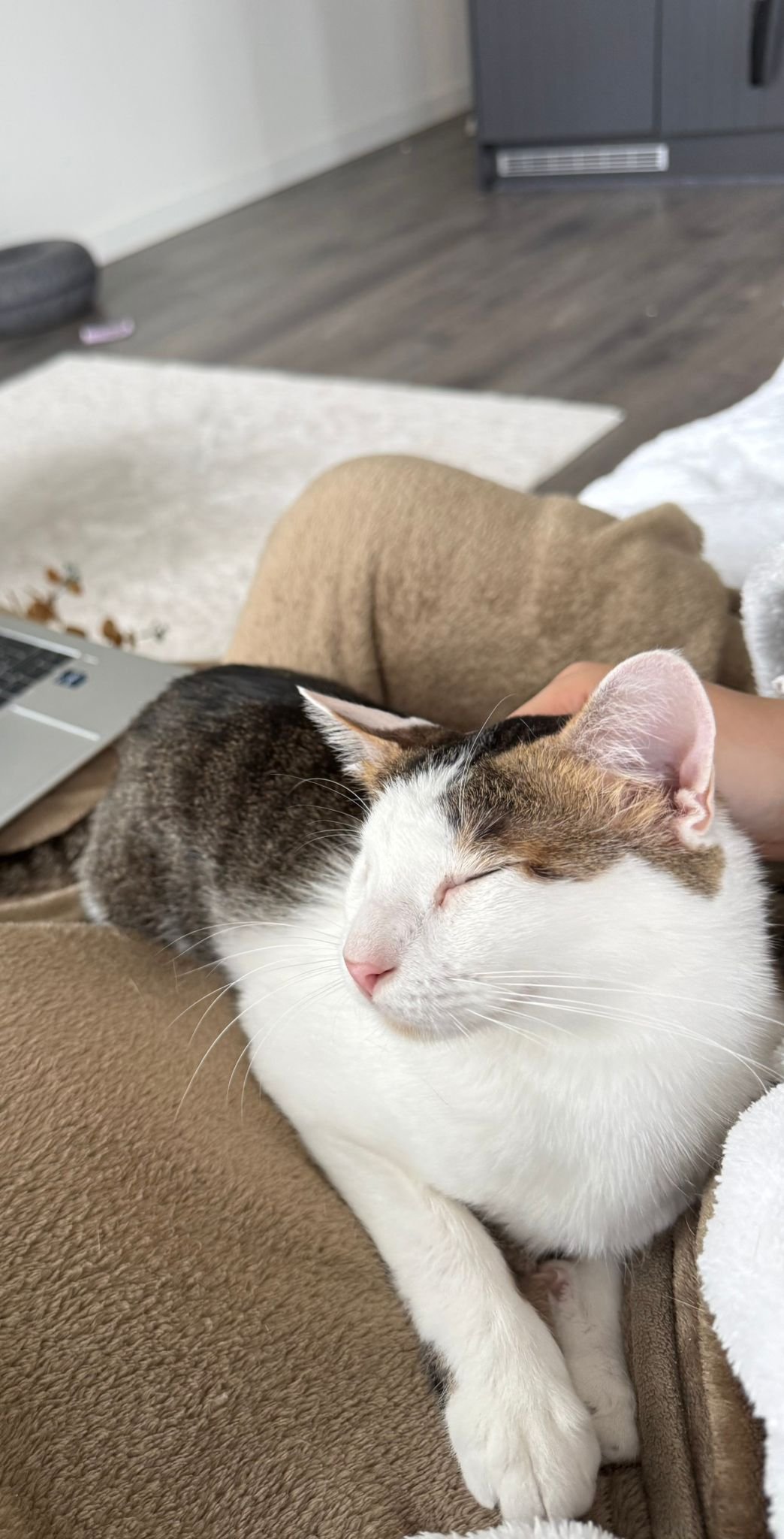 WhatsApp Image 2026-02-16 at 12.19.51 PM (1).jpeg