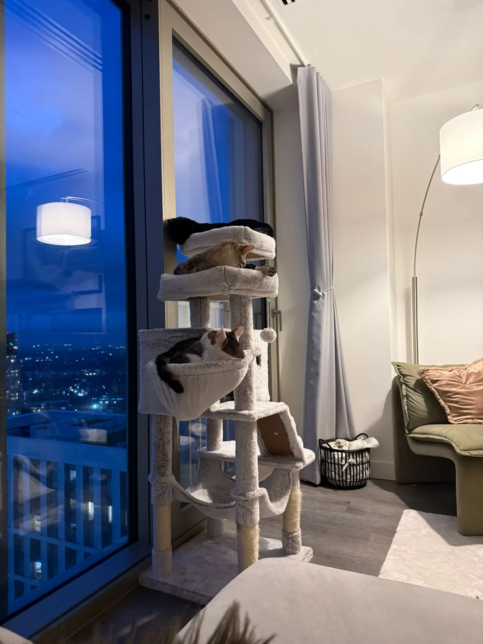 WhatsApp Image 2026-02-16 at 12.19.51 PM (2).jpeg