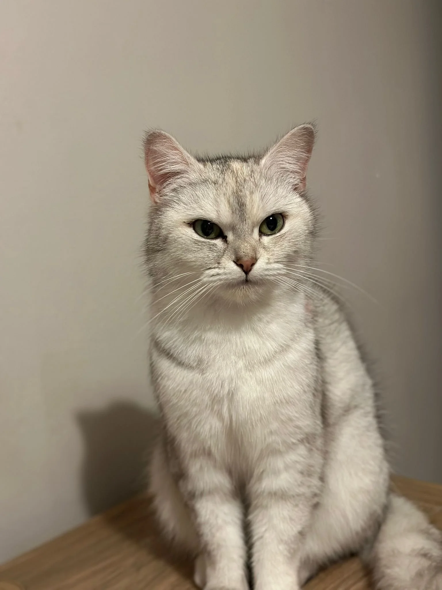 WhatsApp Image 2026-02-26 at 6.46.28 PM.jpeg