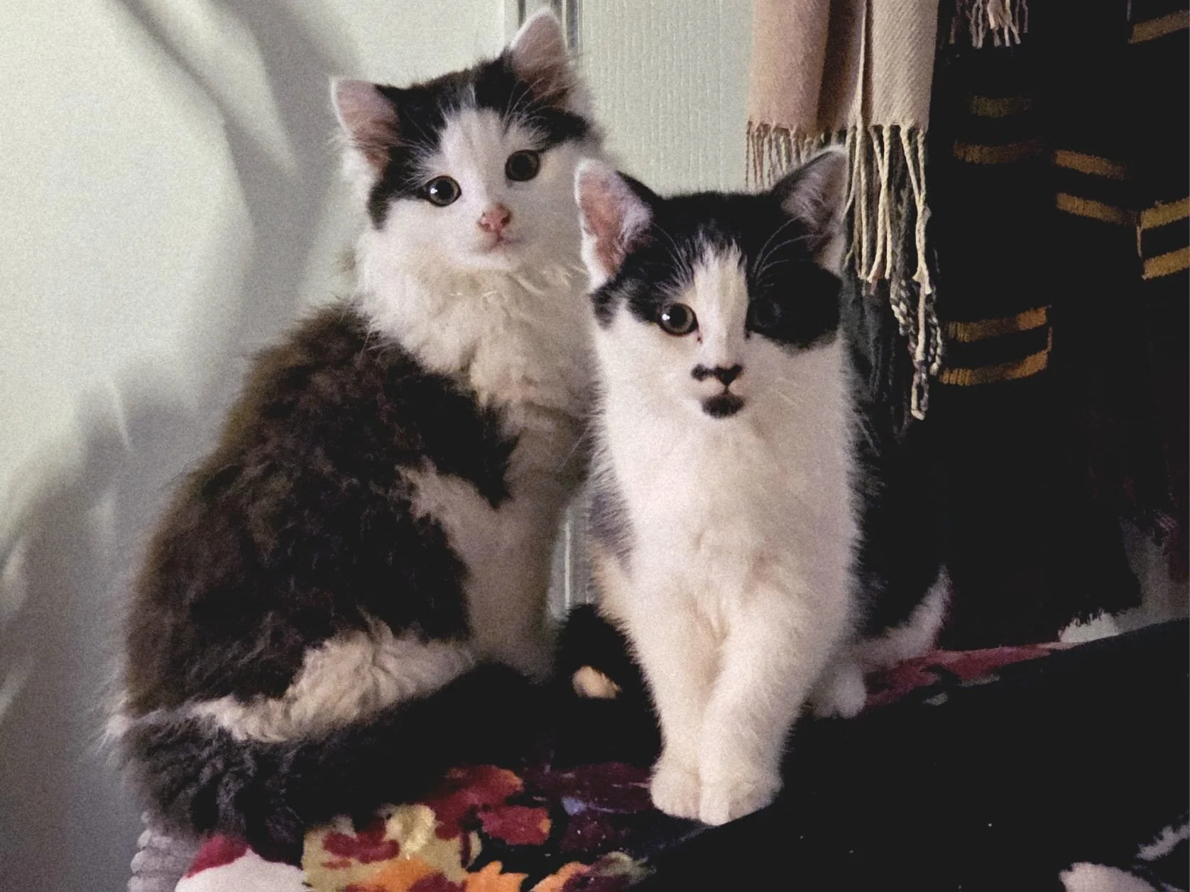 Chapel &amp; Confetti