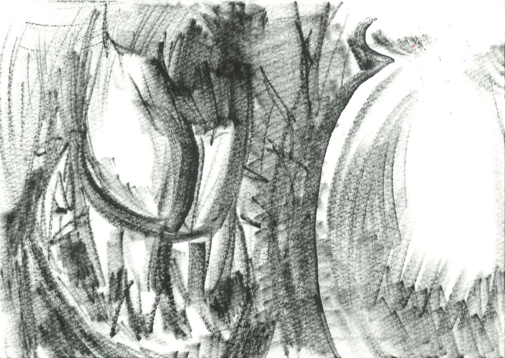 venom fake charcoal.jpg