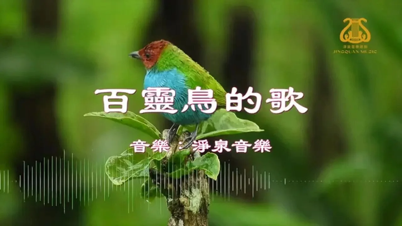 百靈鳥的歌