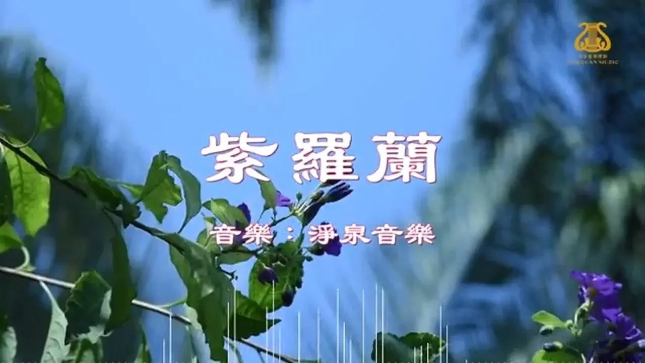 紫羅蘭