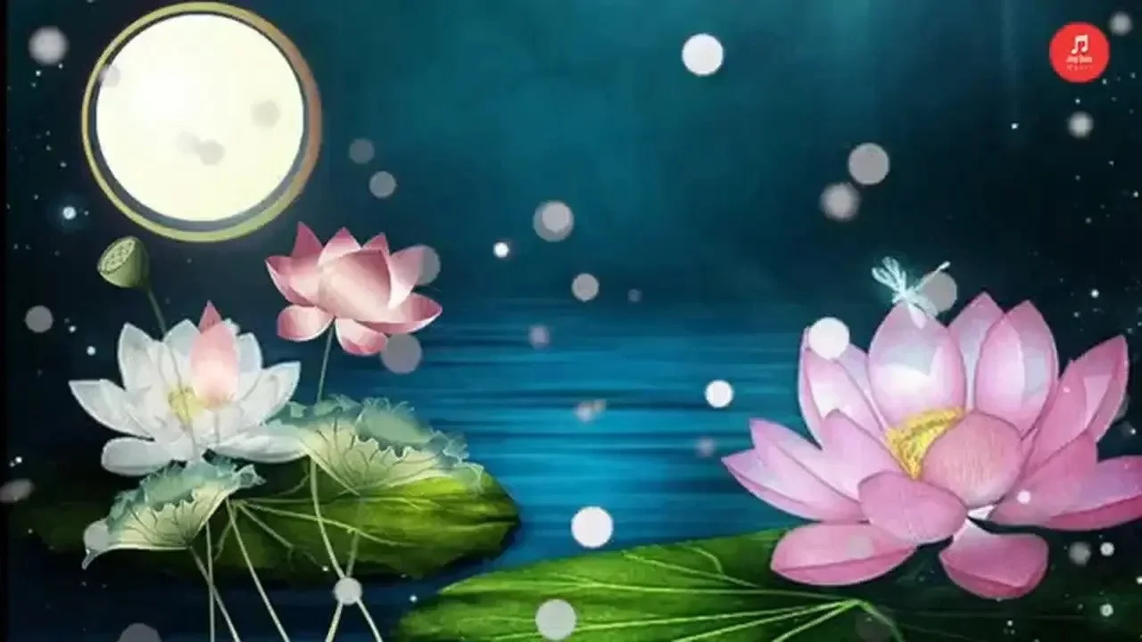金指環