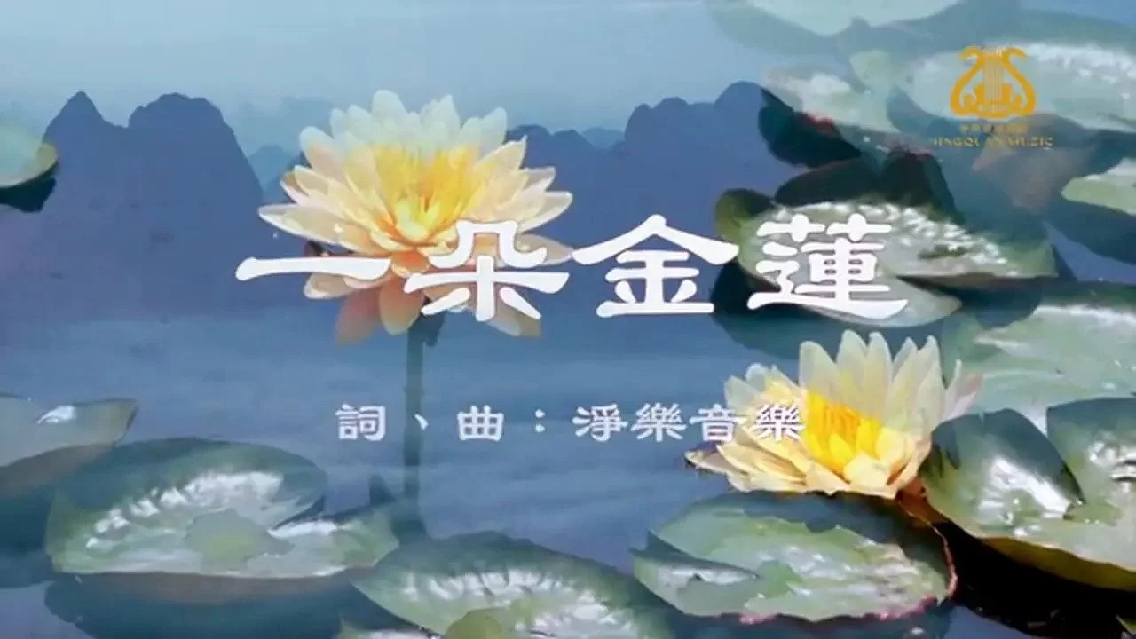 一朵金蓮