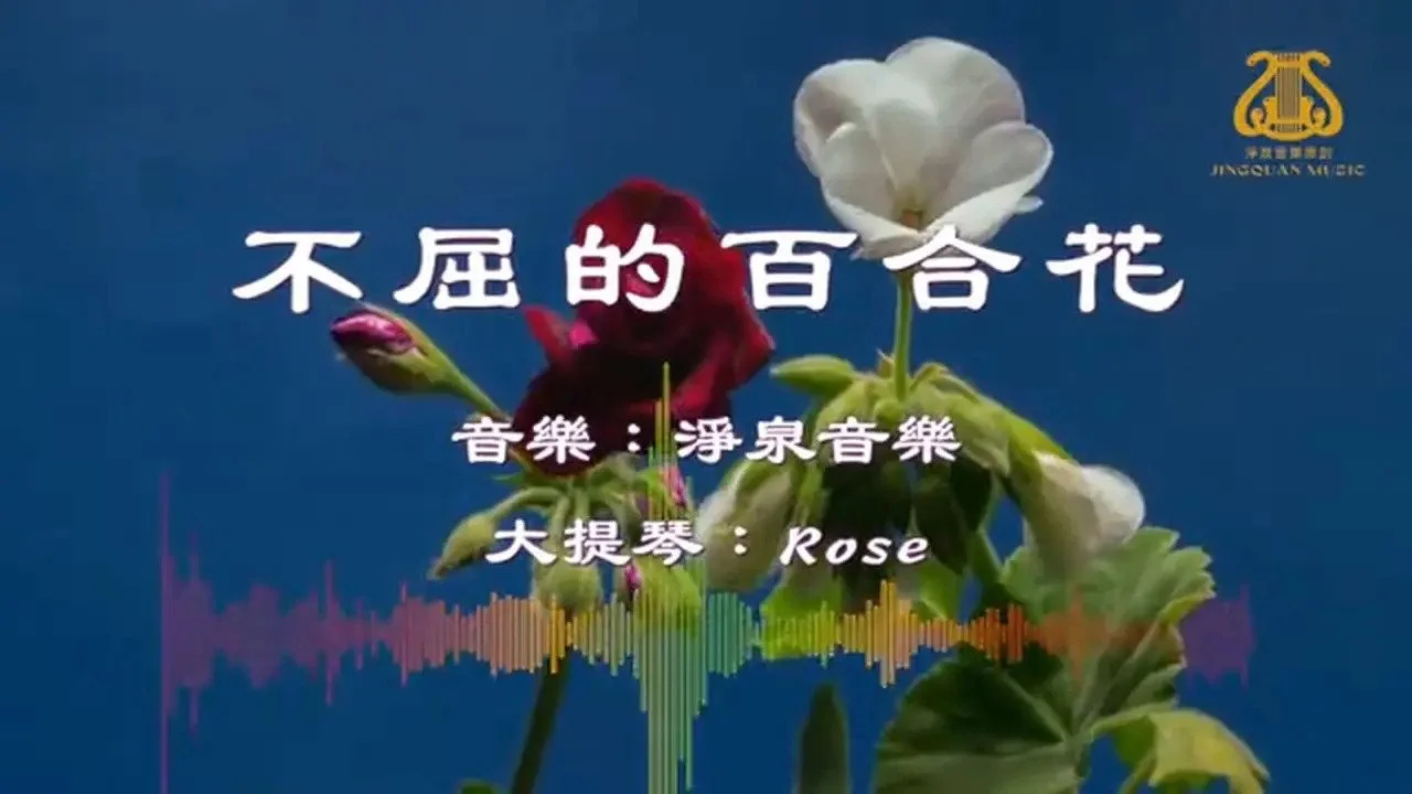 不屈的百合花