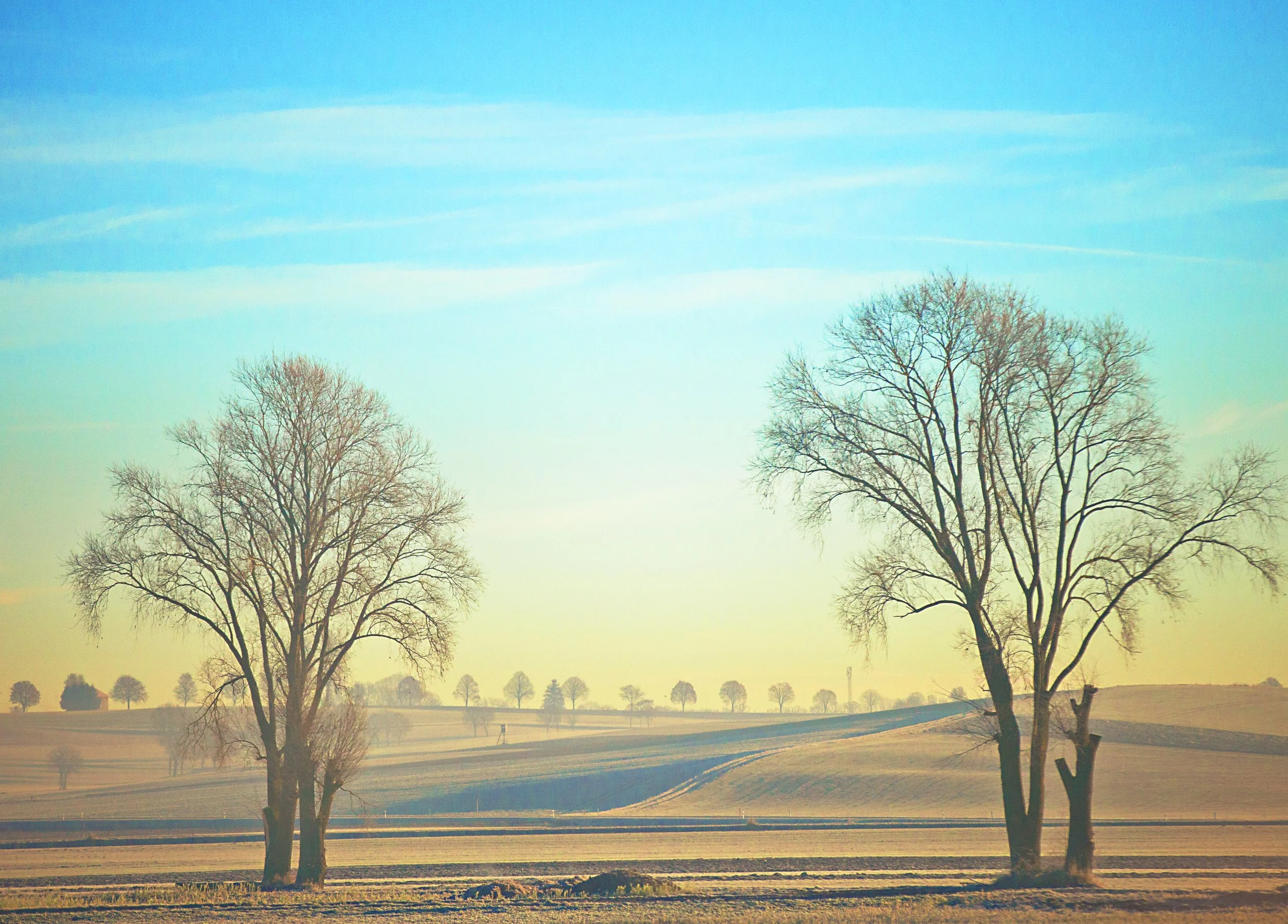 創世主知道我的歌