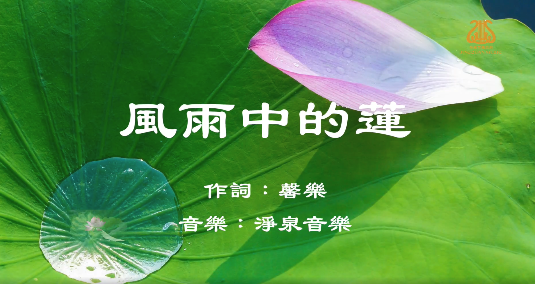 風雨中的蓮