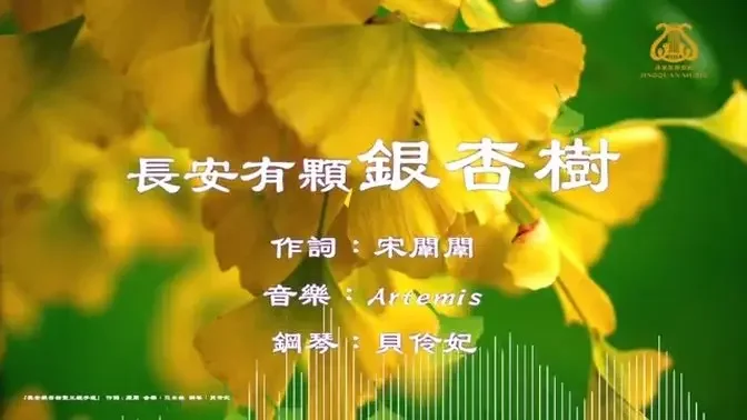 長安有棵銀杏樹