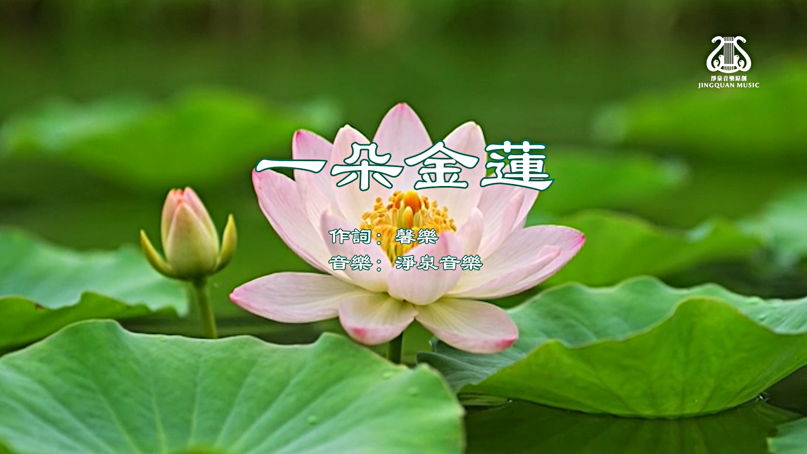 一朵金蓮 I 卡拉OK伴奏帶