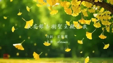 長安銀杏樹　聖王親手栽