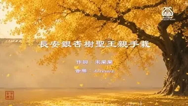  長安有棵銀杏樹