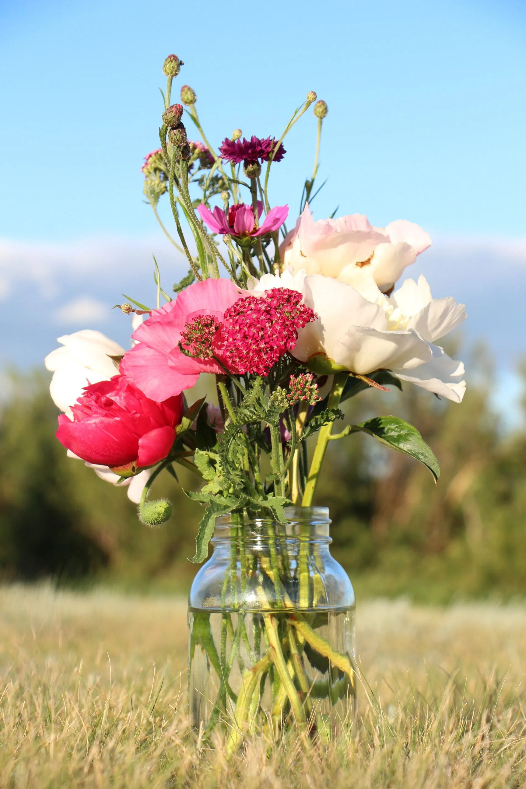 Prairie Flower Market YXE