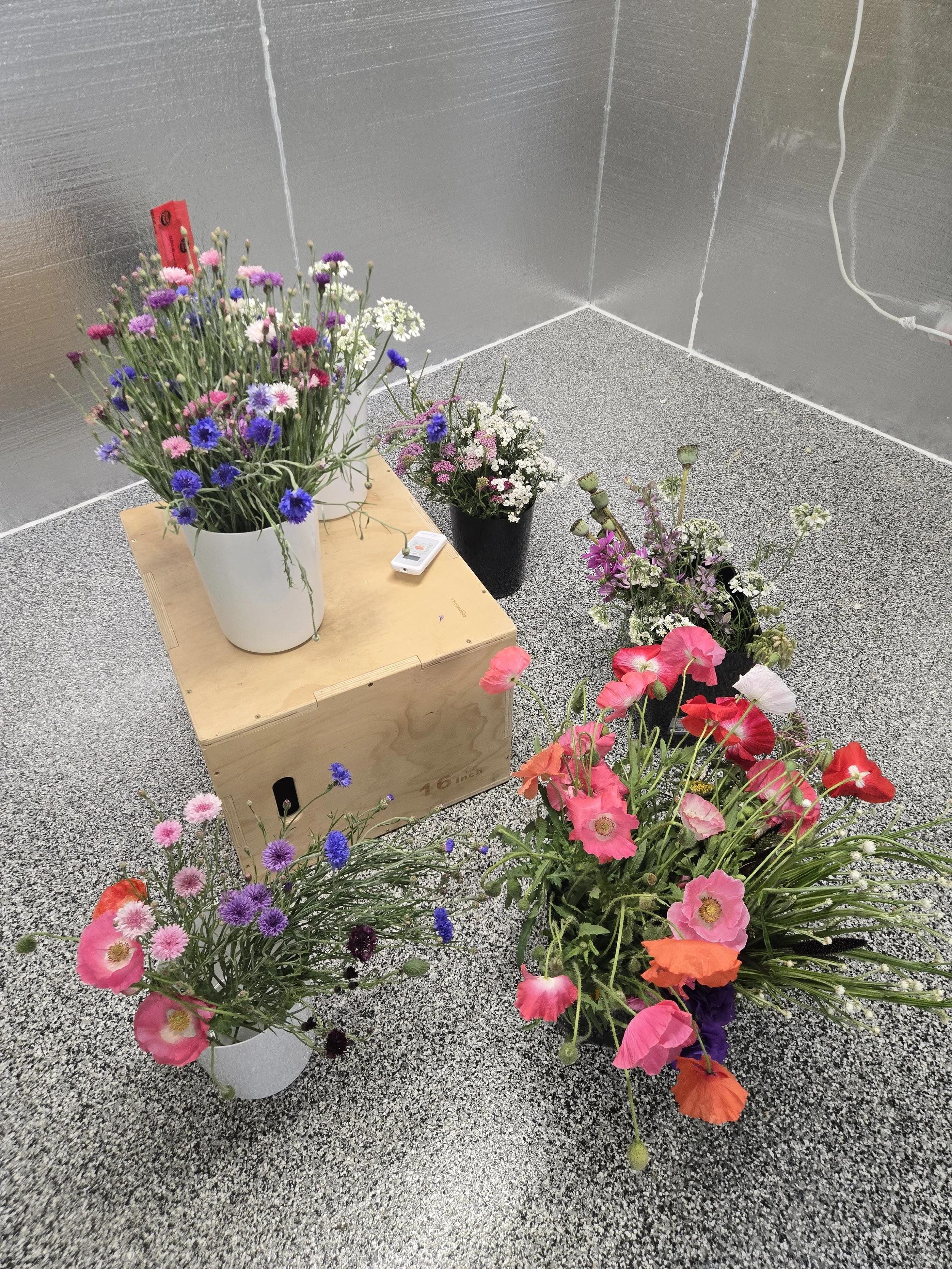 Prairie Flower Market YXE