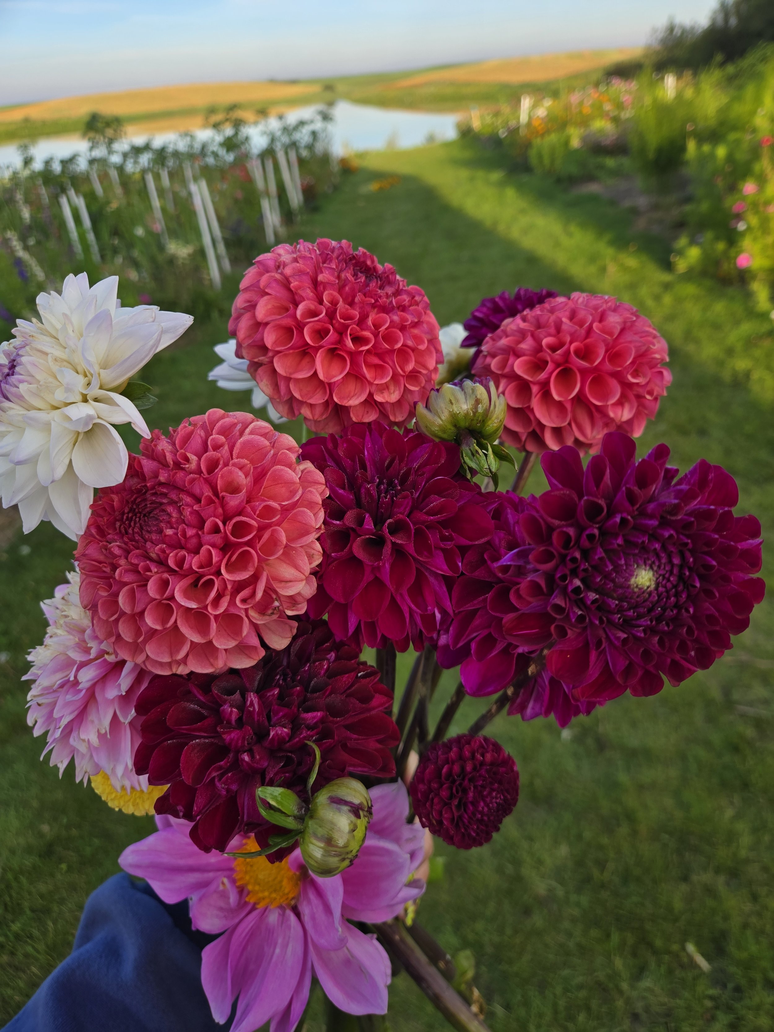 Prairie Flower Market YXE