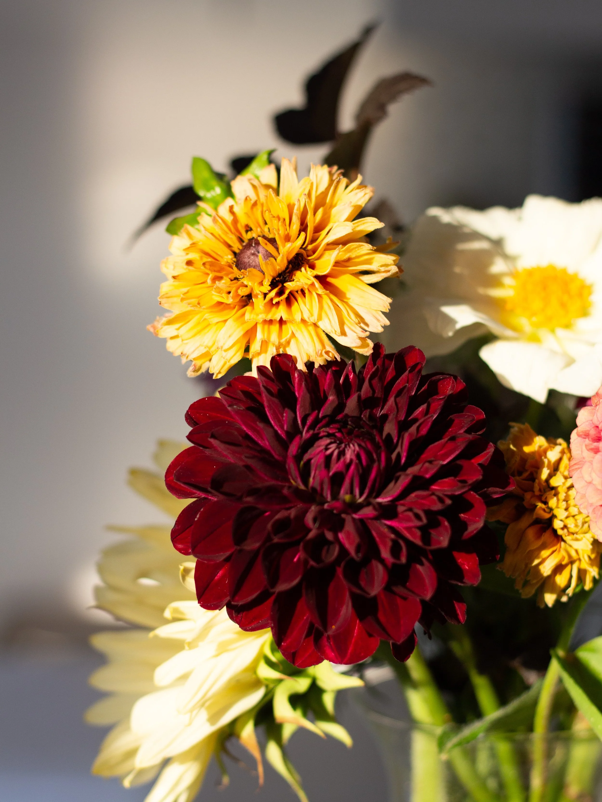 Prairie Flower Market YXE