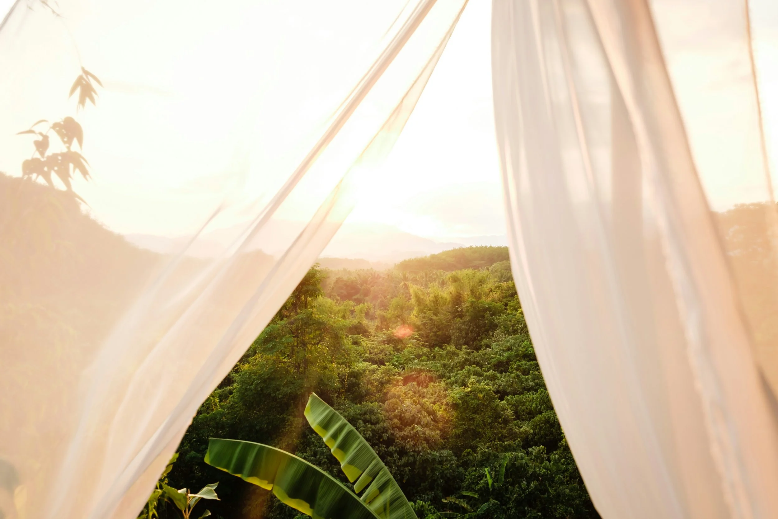 Return to You: Bali Retreat 2027