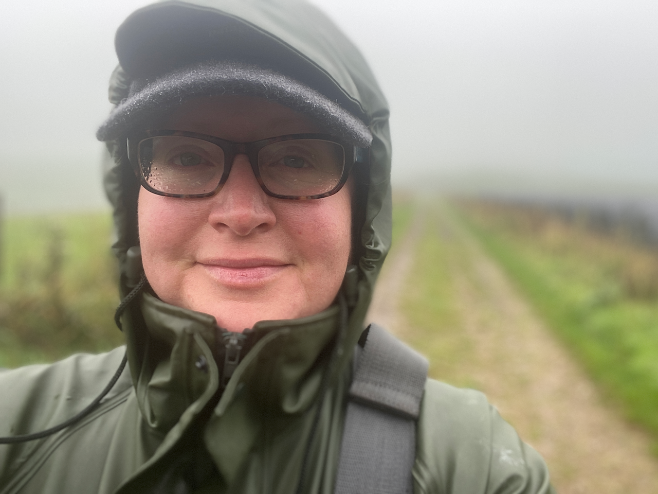 Welcome to grazinggeek