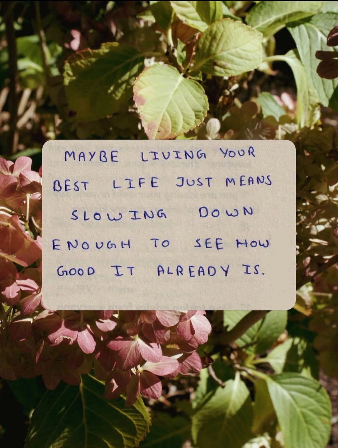 Maybe living your best life just means slowing down enough to see how good it already is. 
We are in such a hurry. We miss the obvious. Do yourself a favor and look around today. I&rsquo;ll bet you&rsquo;ll see something fabulous.
#lifecoach #motivat