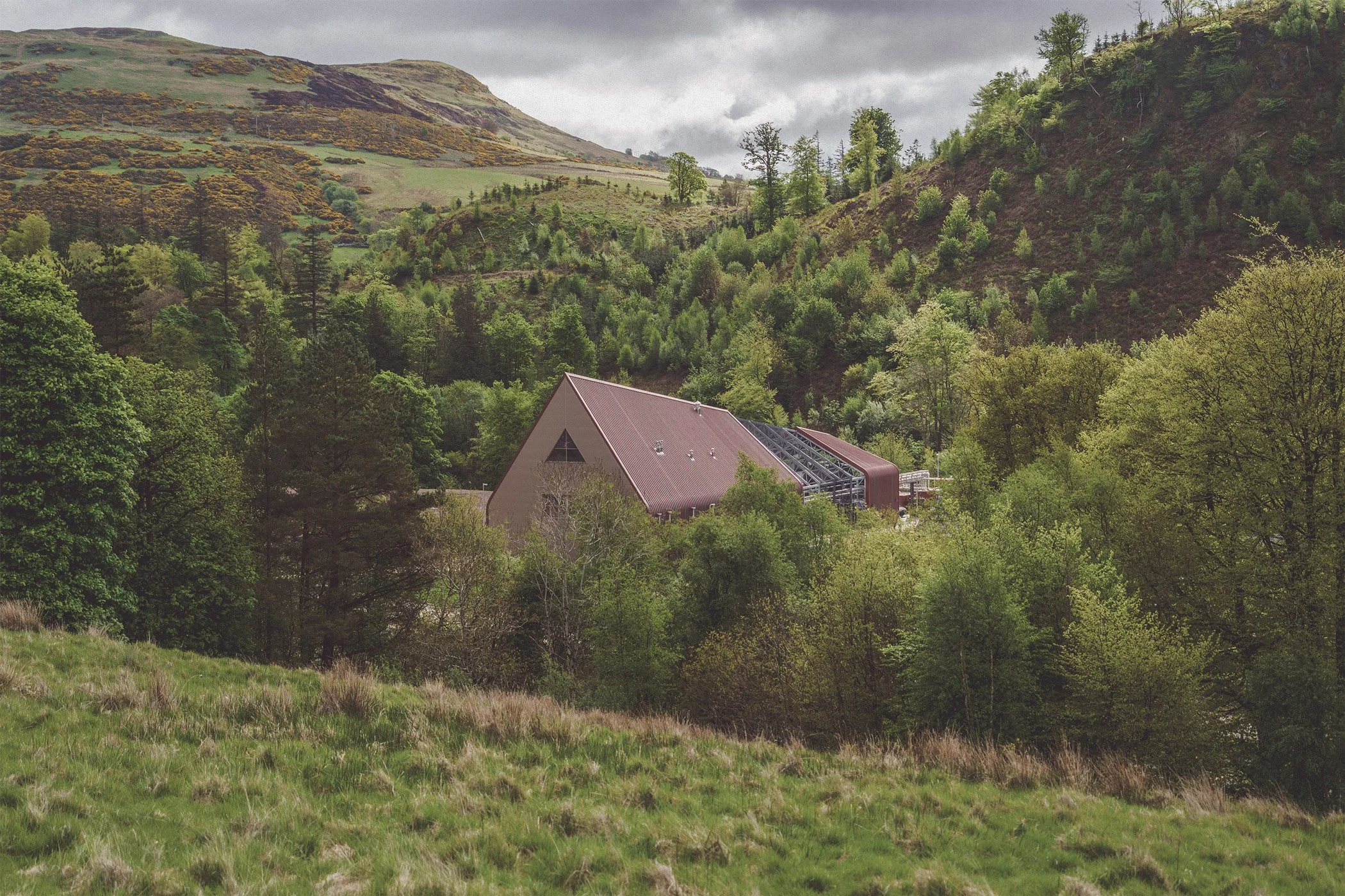 Ardgowan Distillery