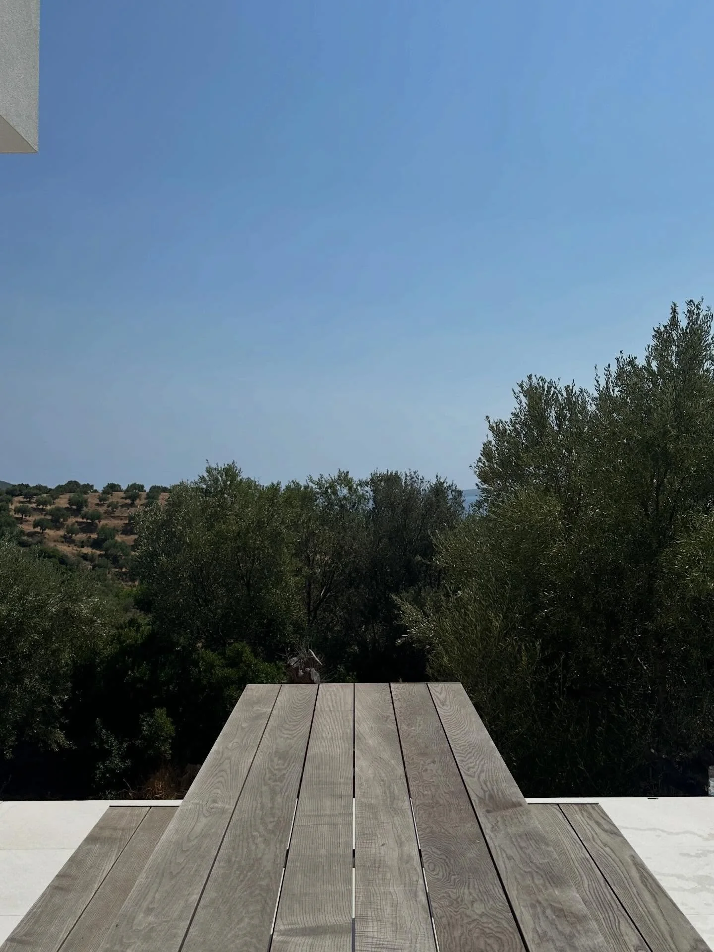 Emailing HR to ask if this can be my permanent desk.

#getaway #greece #summer2026 #peloponnese #peloponnese_gr #finikounda #messinia #olivegarden