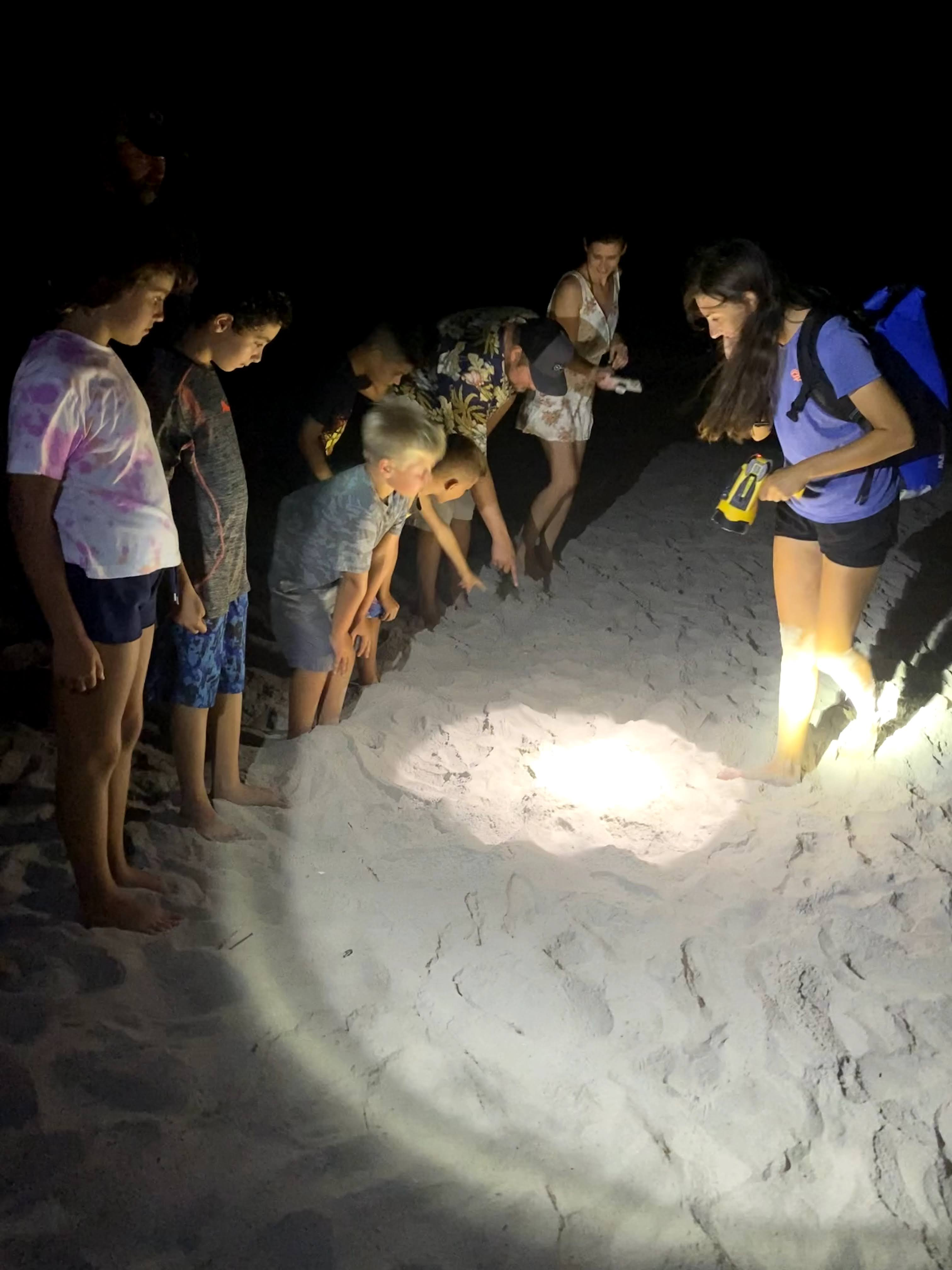 Ghost Crab Hunt