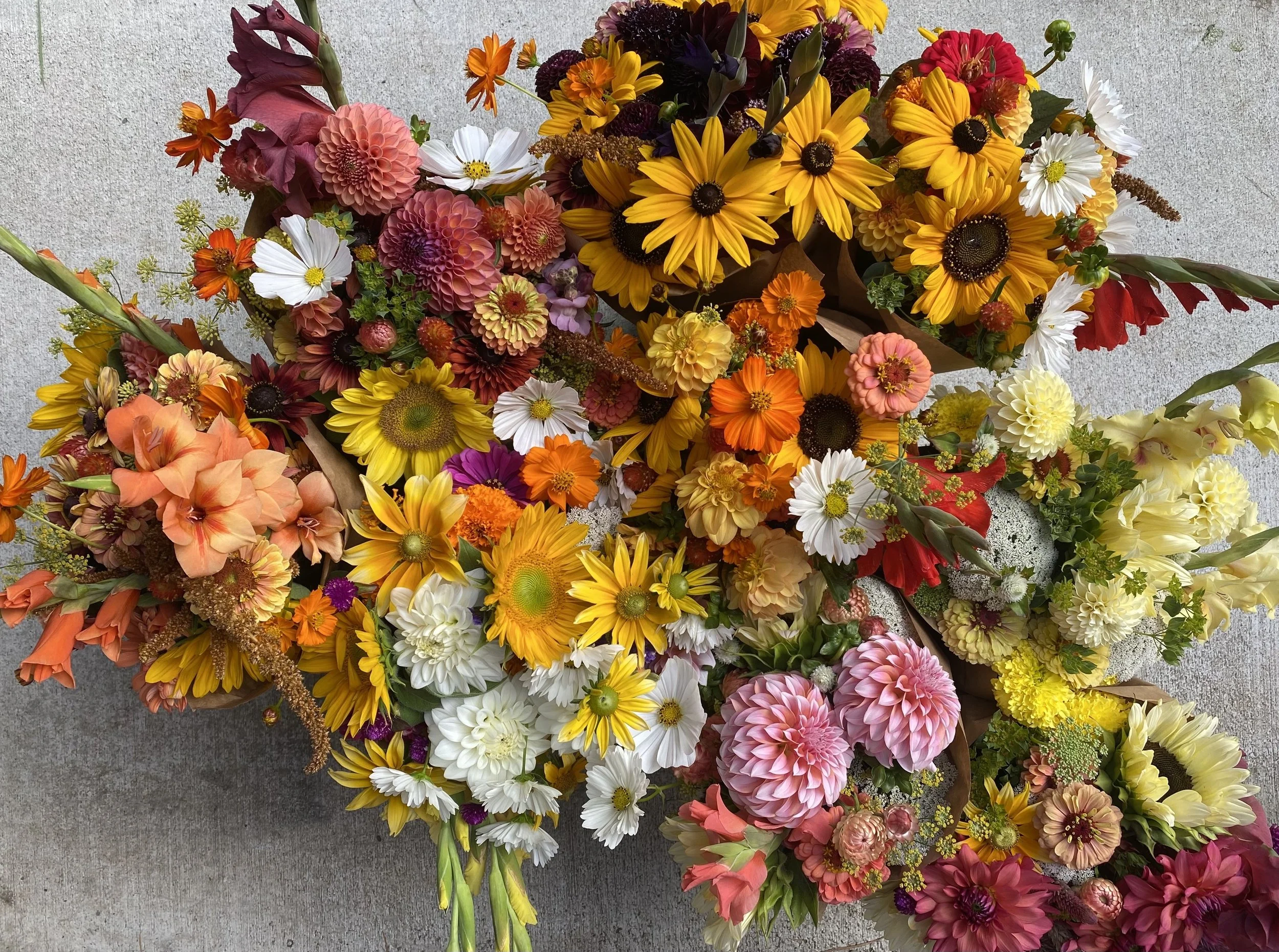 Personalized Note Card