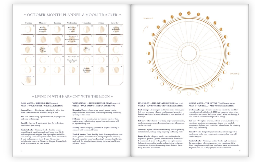 SOSW+Workbook+-+Product+Image+4.png