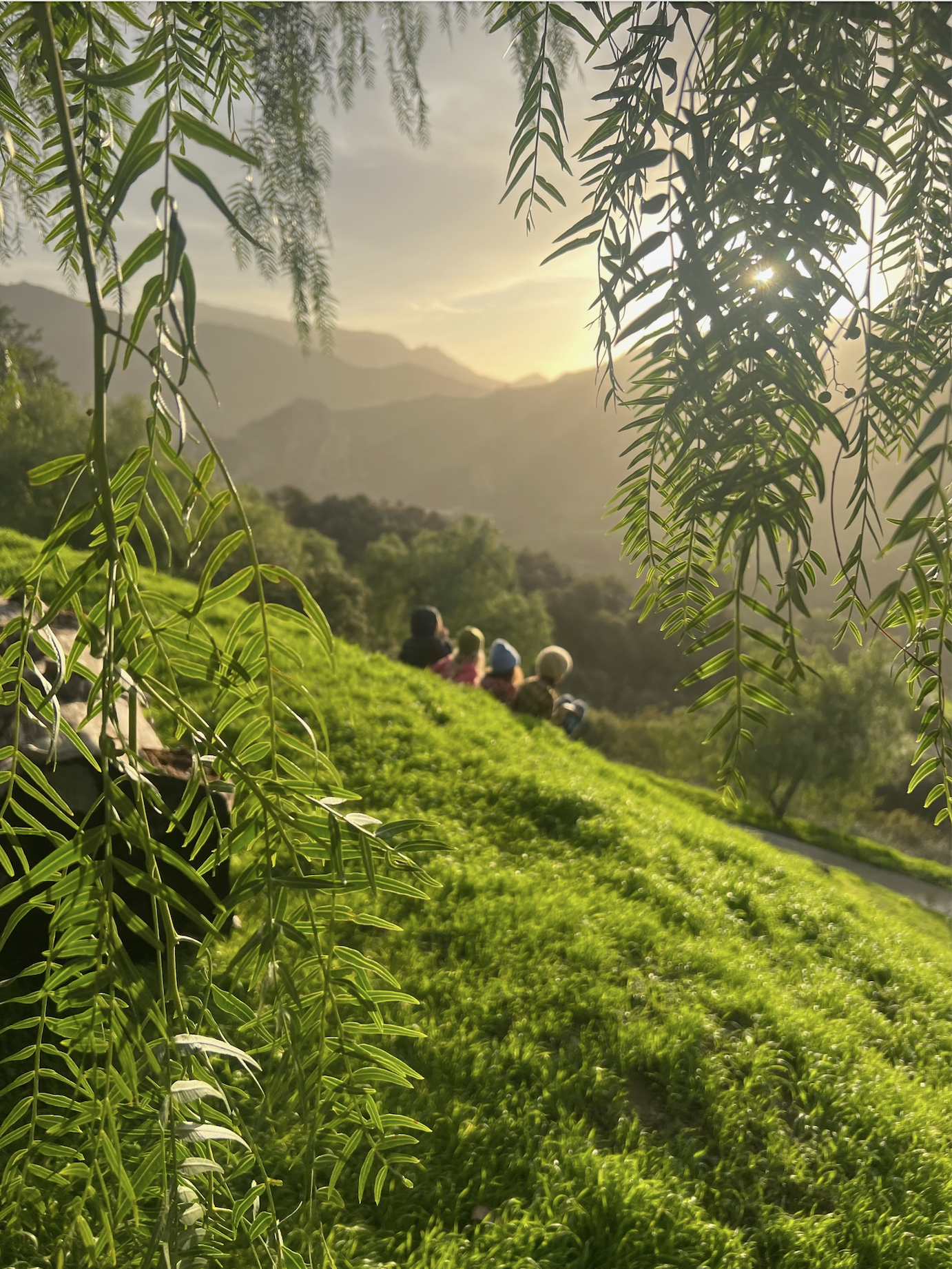 Serene hillside with green grass and leafy branches in the foreground overlooking a sunset-lit mountain landscape. Group of people seated on the grass, enjoying the view.
