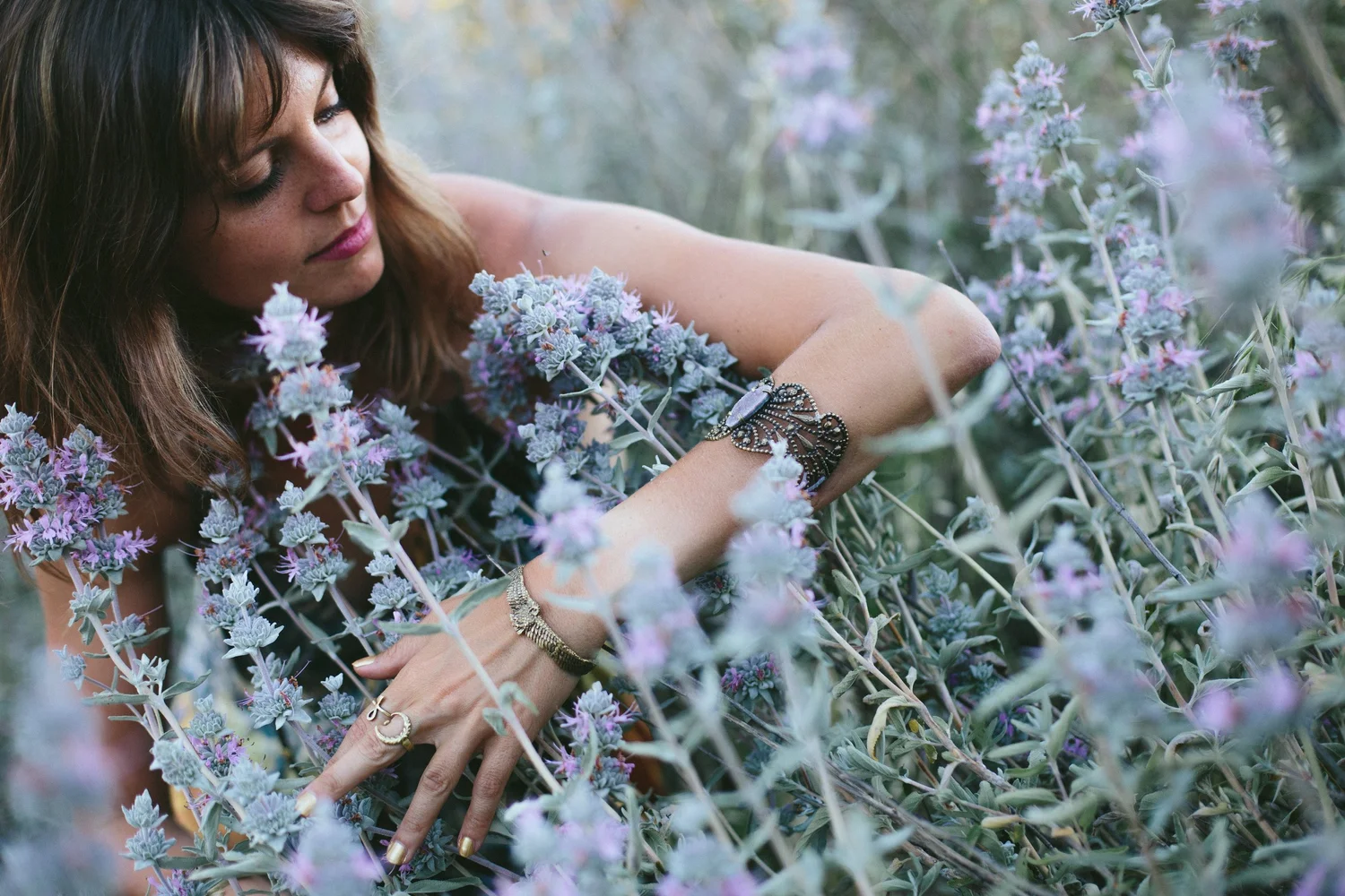 Herbs and botanicals