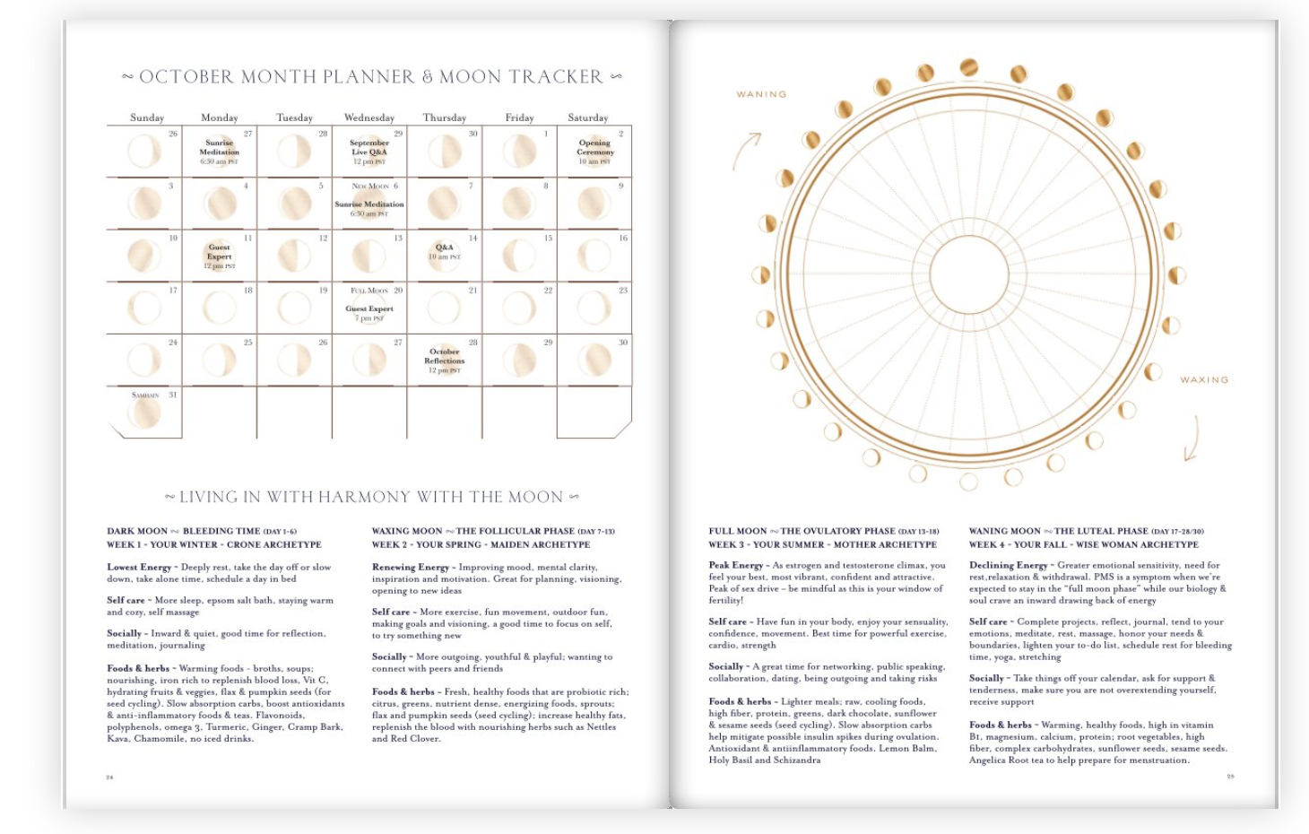 SOSW+Workbook+-+Product+Image+4.png