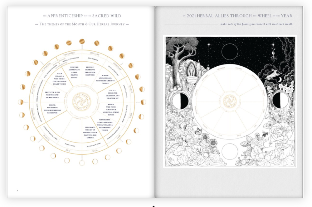 SOSW+Workbook+-+Product+Image+3.png
