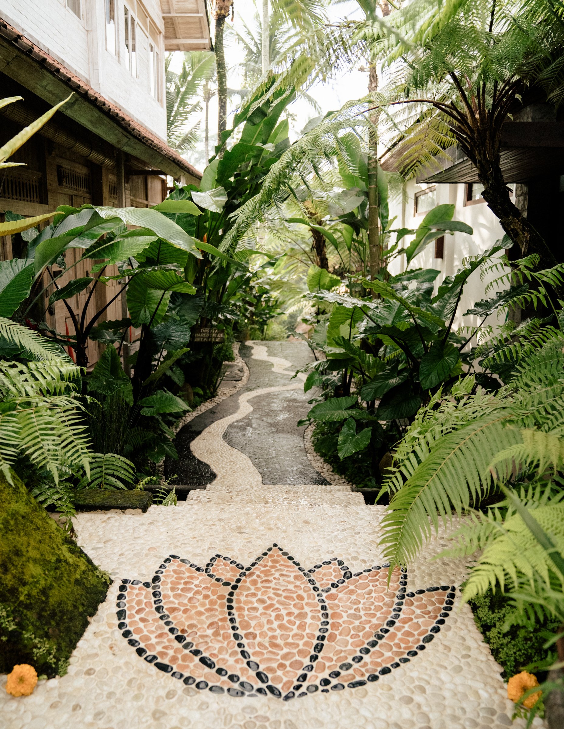 Bali Retreat October 2025.jpg