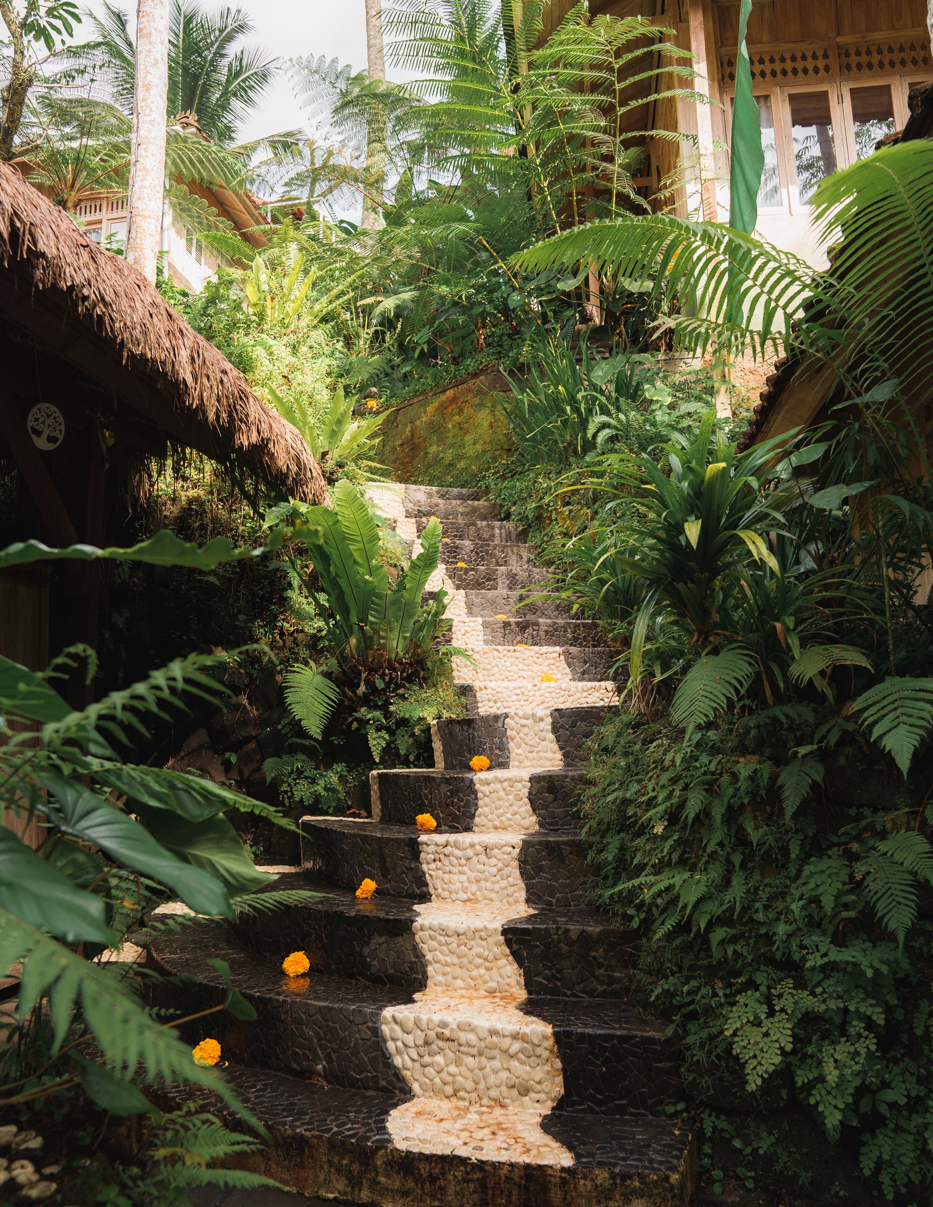 Bali Retreat October 2025-2.jpg